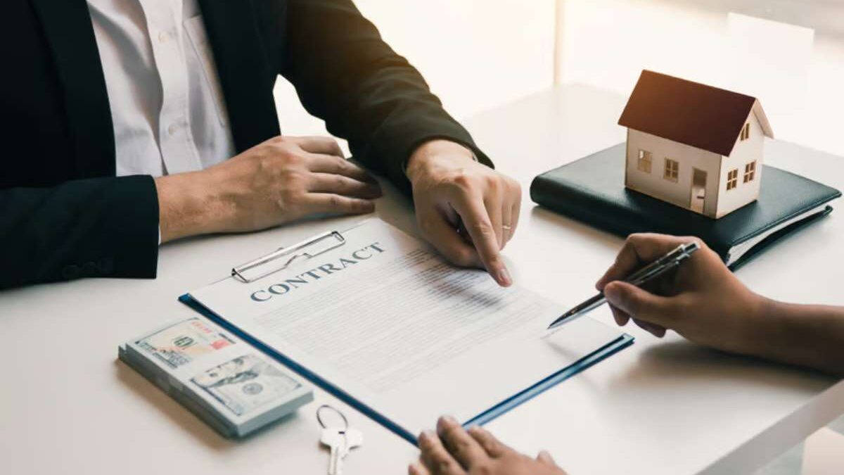 saccef conditions d'acceptation